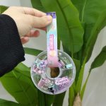 Pasti Klips Ataş Tutacak Seti